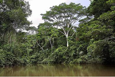 《污痕圣杯》续作变为开放世界RPG 已上架Steam